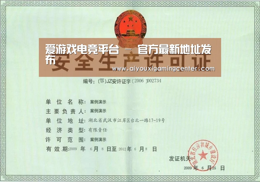 爱游戏直播荣誉证书三