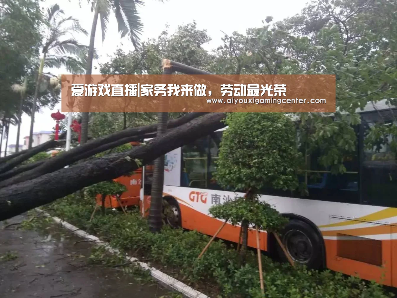 爱游戏直播|家务我来做,劳动最光荣(图3) 爱游戏平台
