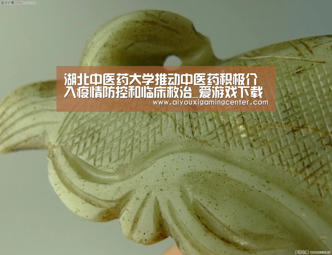 湖北中医药大学推动中医药积极介入疫情防控和临床救治_爱游戏下载(图1) 爱游戏下载