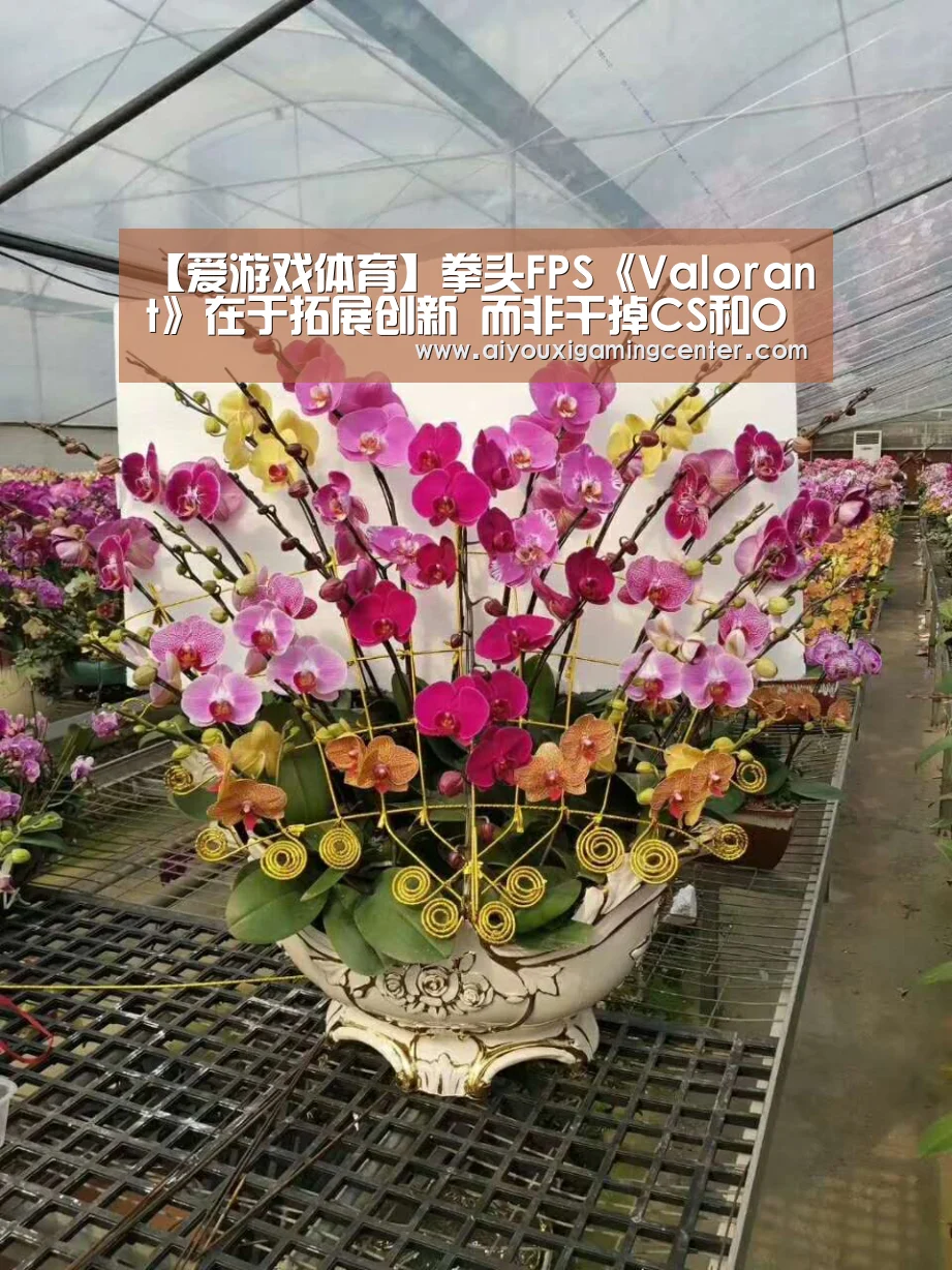 【爱游戏体育】拳头FPS《Valorant》在于拓展创新 而非干掉CS和OW(图2) 爱游戏平台