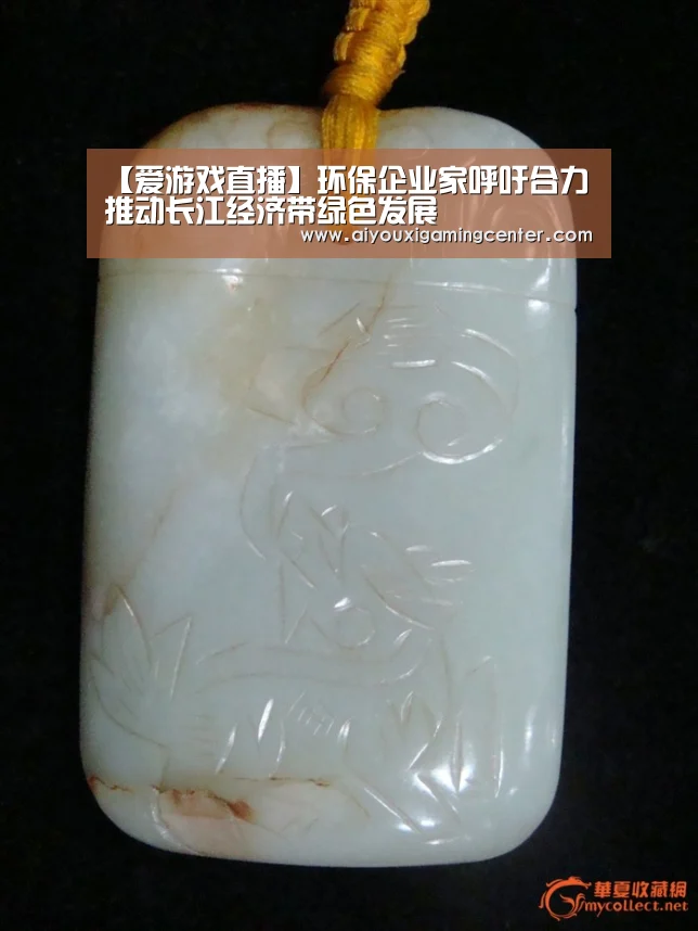 【爱游戏直播】环保企业家呼吁合力推动长江经济带绿色发展(图1) 爱游戏平台