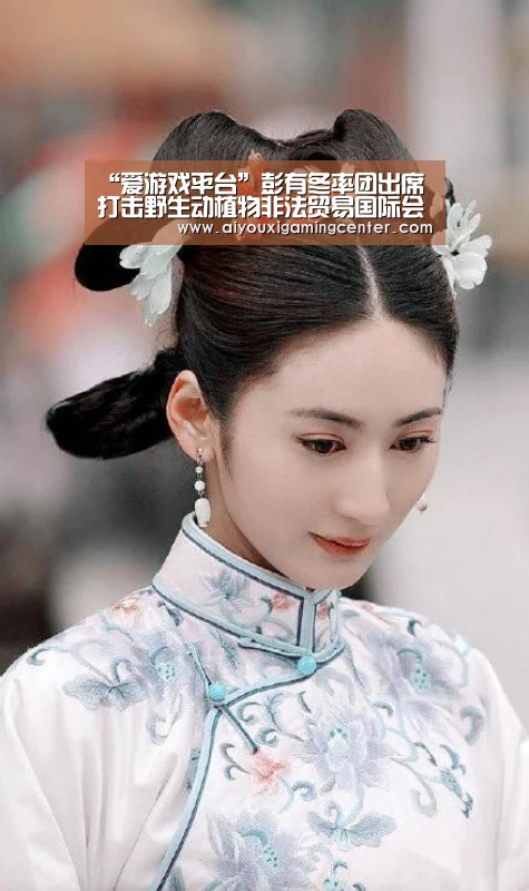 “爱游戏平台”彭有冬率团出席打击野生动植物非法贸易国际会议(图4) 爱游戏体育